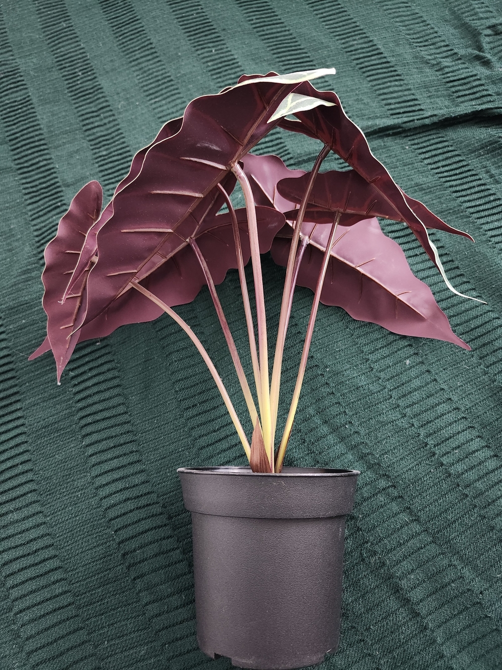 Decorative Burgundy Metal Leaf Vase Plant Accent